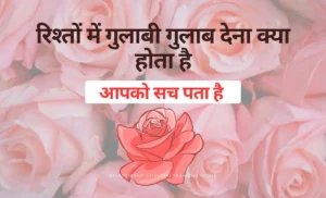 Pink Rose Meaning in Relationships