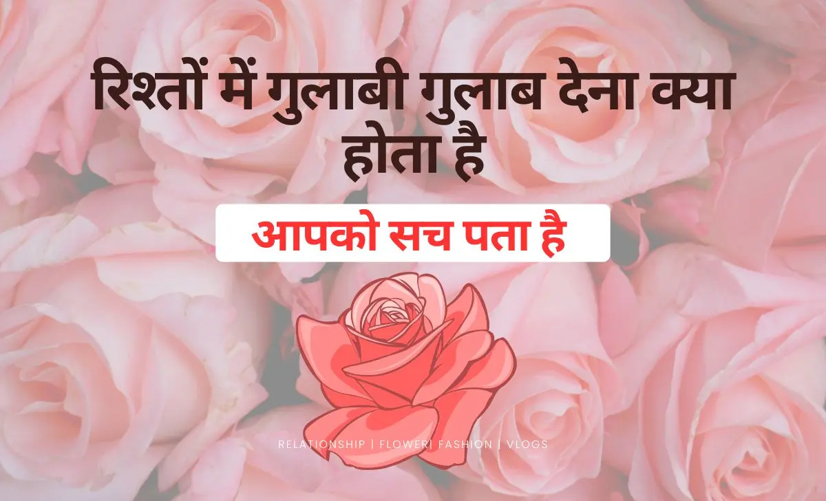 Pink Rose Meaning in Relationships