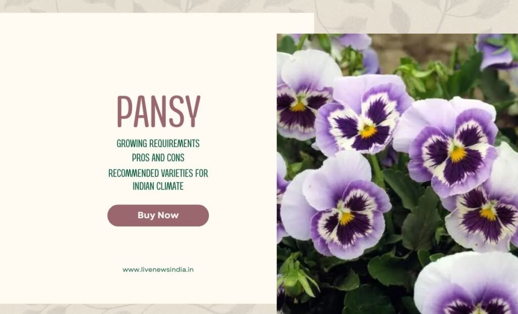 Best winter Flowers In India