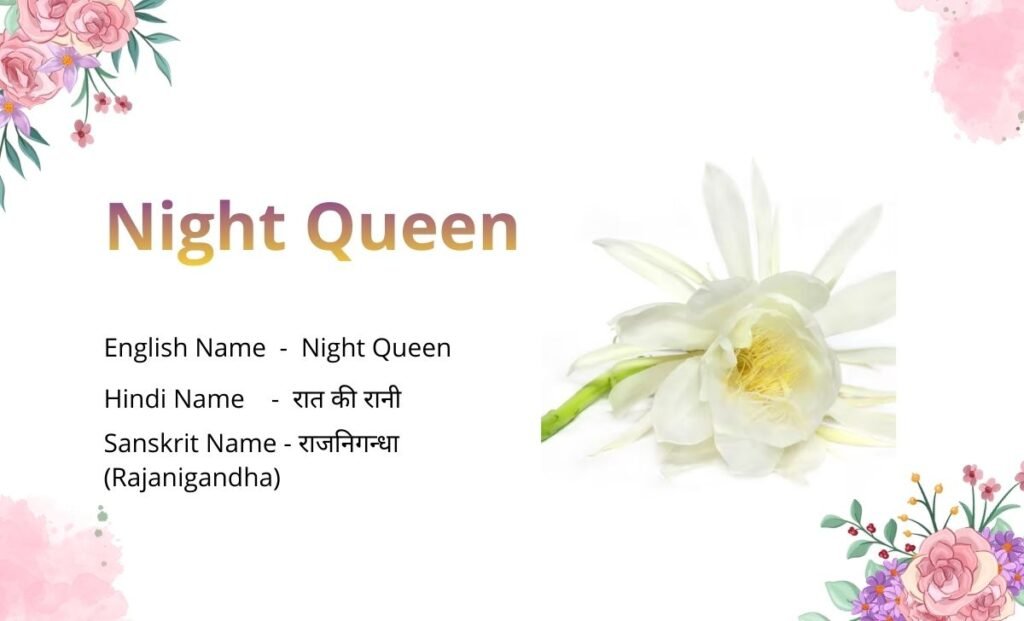 Flowers Name in Sanskrit