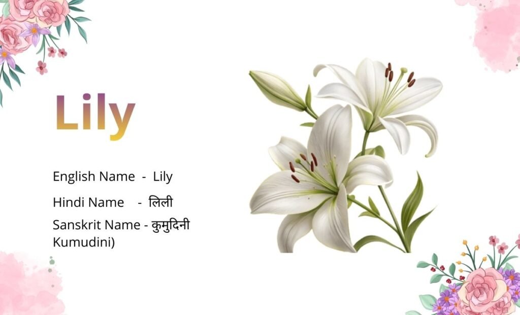 Flowers Name in Sanskrit
