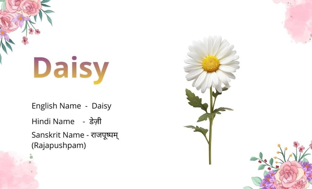 Flowers Name in Sanskrit