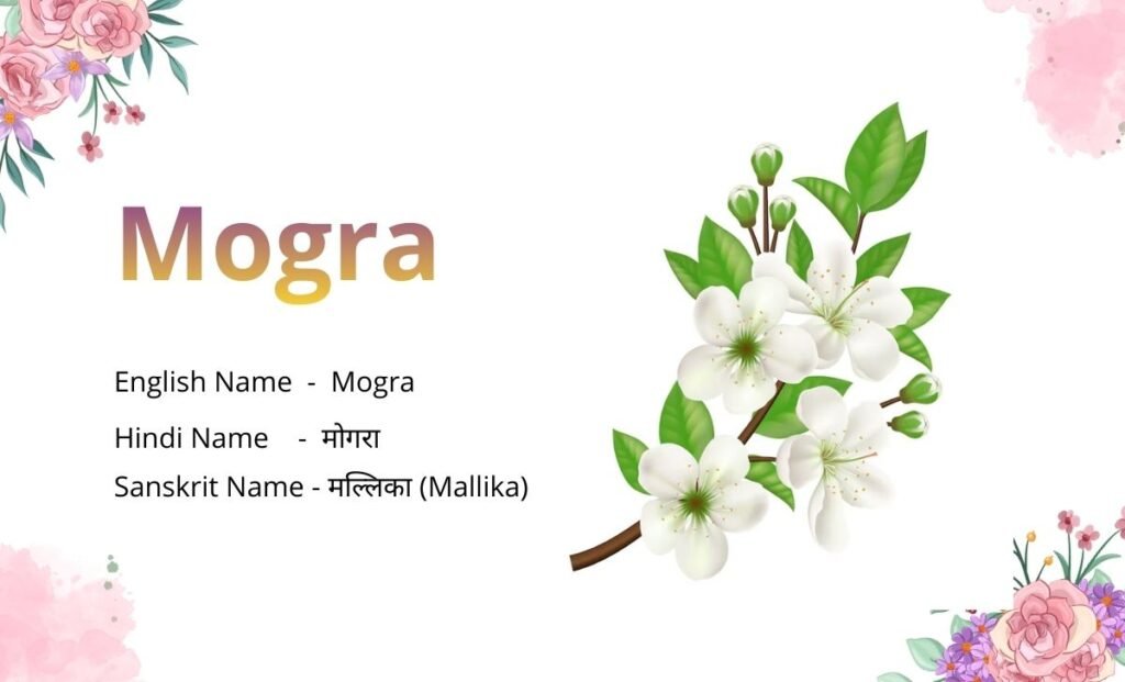 15 Flowers Name in Sanskrit
