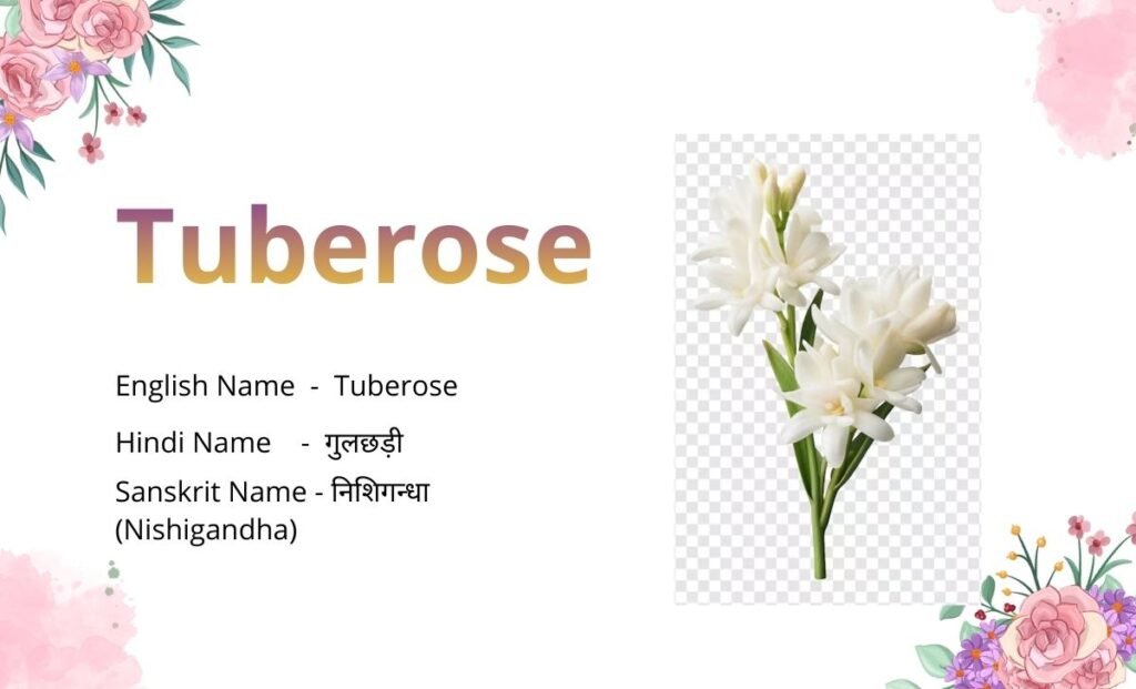 15 Flowers Name in Sanskrit