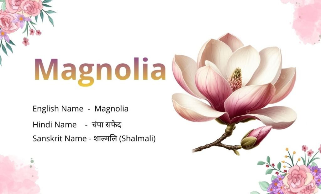 15 Flowers Name in Sanskrit