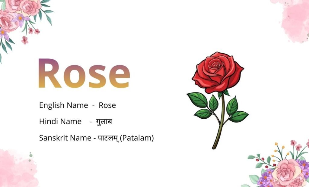 Flowers Name in Sanskrit
