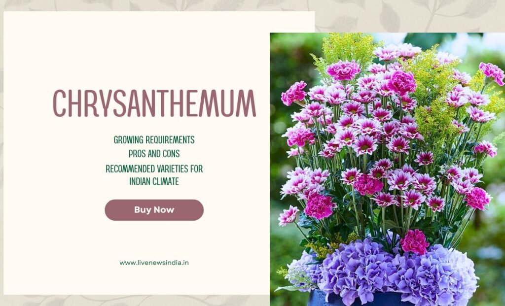 Best winter Flowers In India