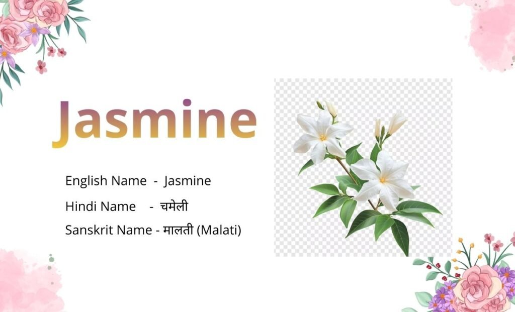 Flowers Name in Sanskrit