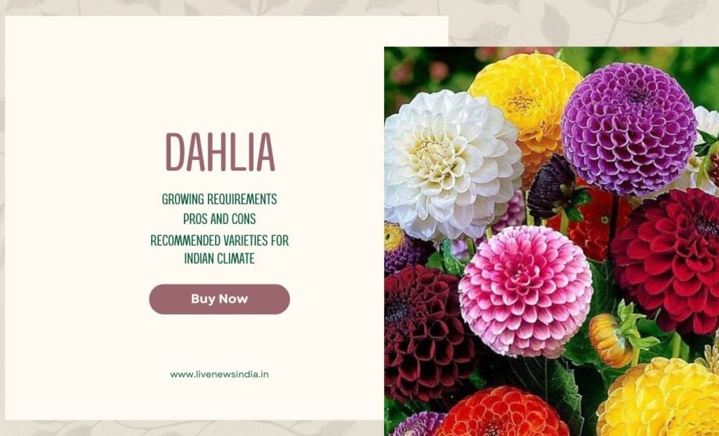 Best winter Flowers In India