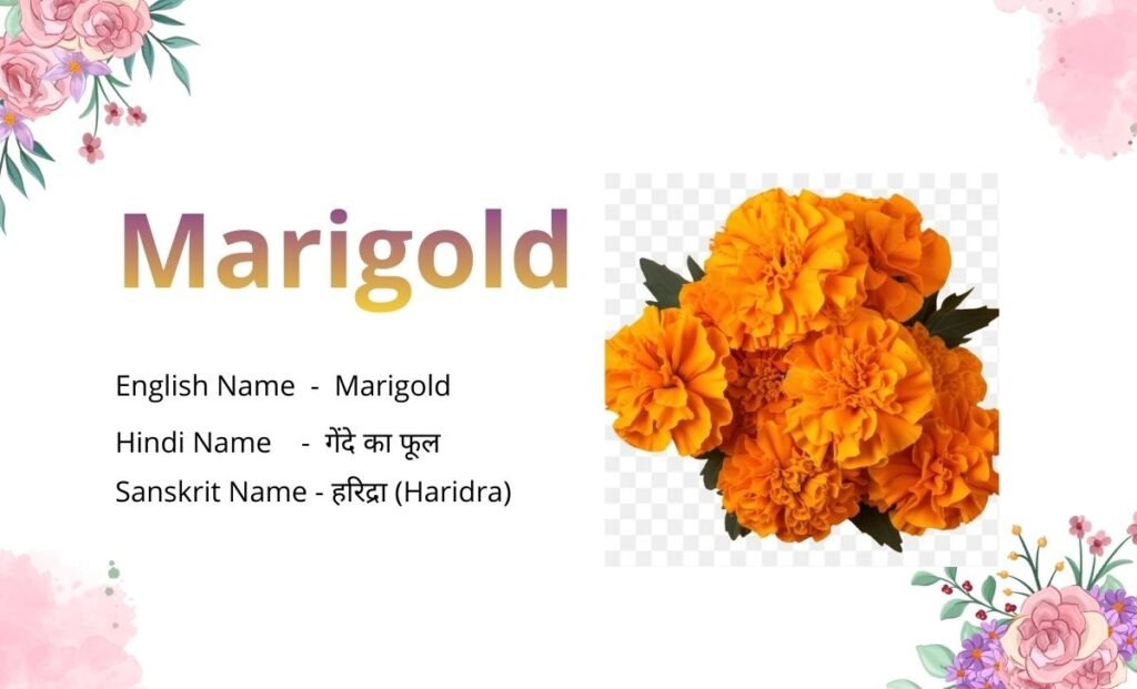 Flowers Name in Sanskrit