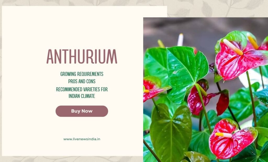 Best winter Flowers In India