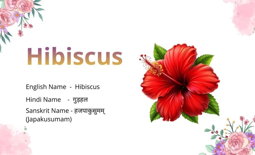 Flowers Name in Sanskrit