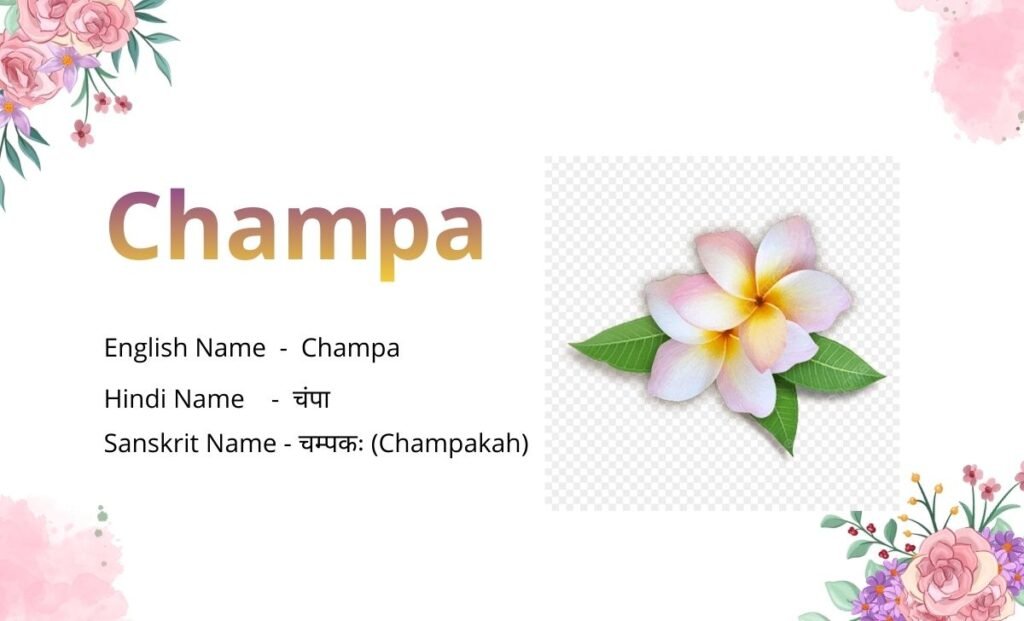 Flowers Name in Sanskrit