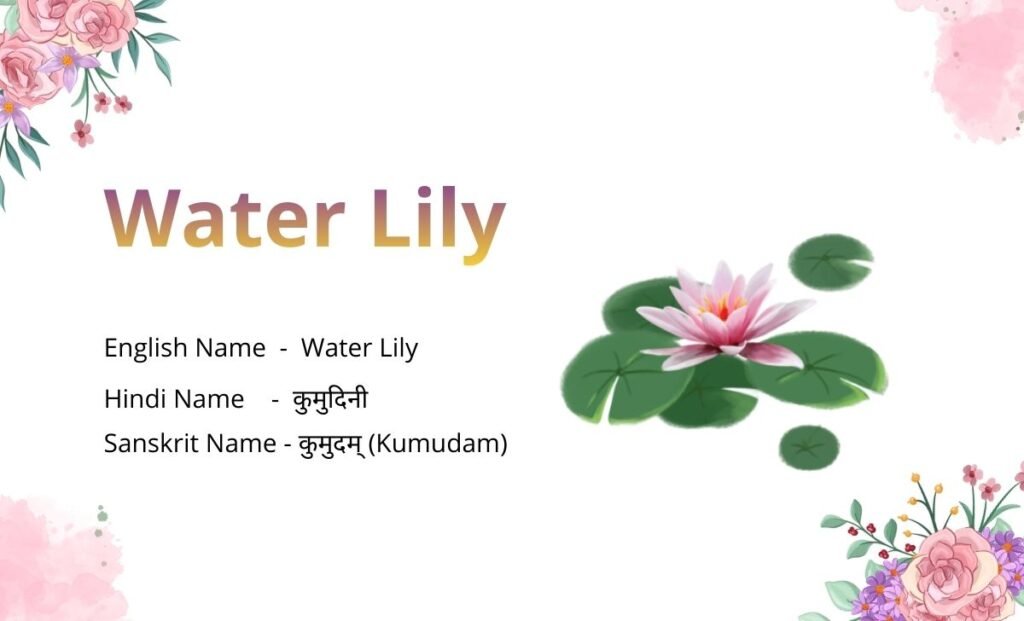 Flowers Name in Sanskrit