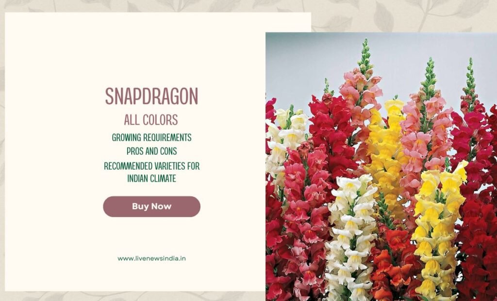 Best winter Flowers In India