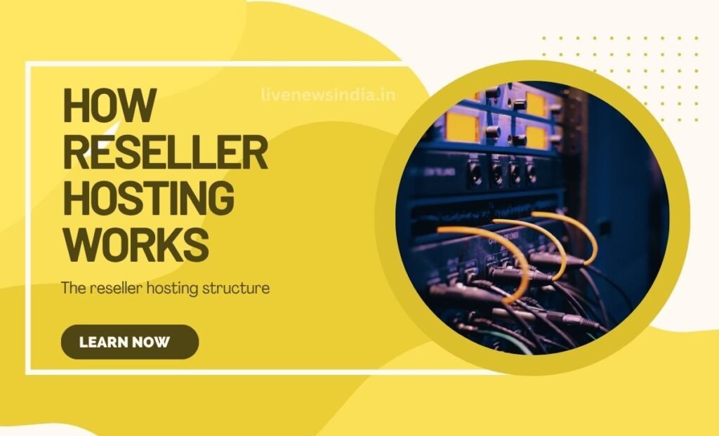 Reseller Hosting Services Meaning