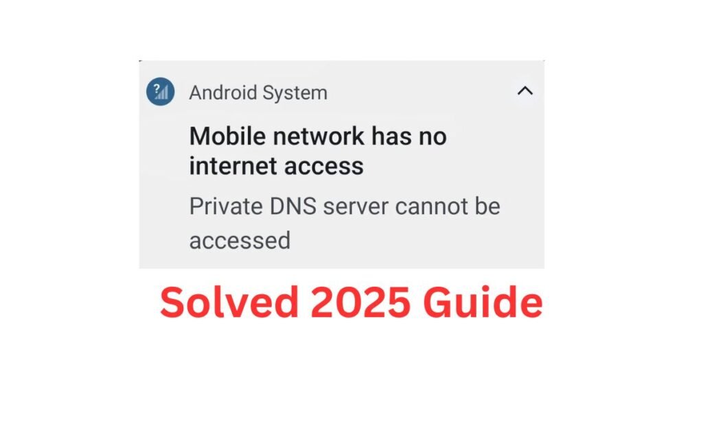 How Do You Solve the Private DNS Server Cannot Be Accessed