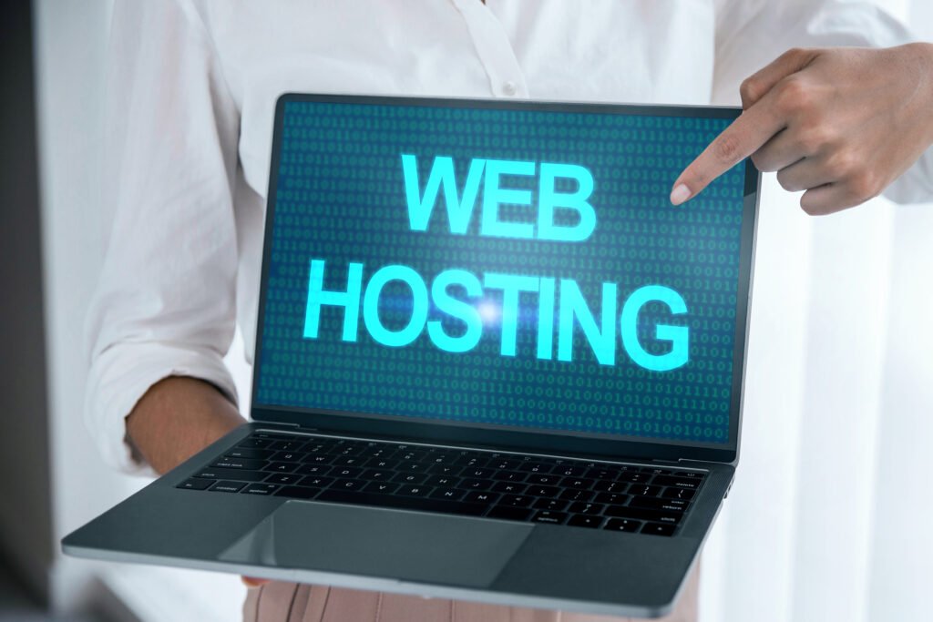 What is web hosting