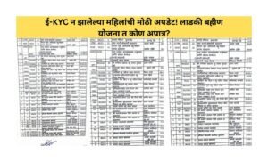 लाडकी बहीण योजना