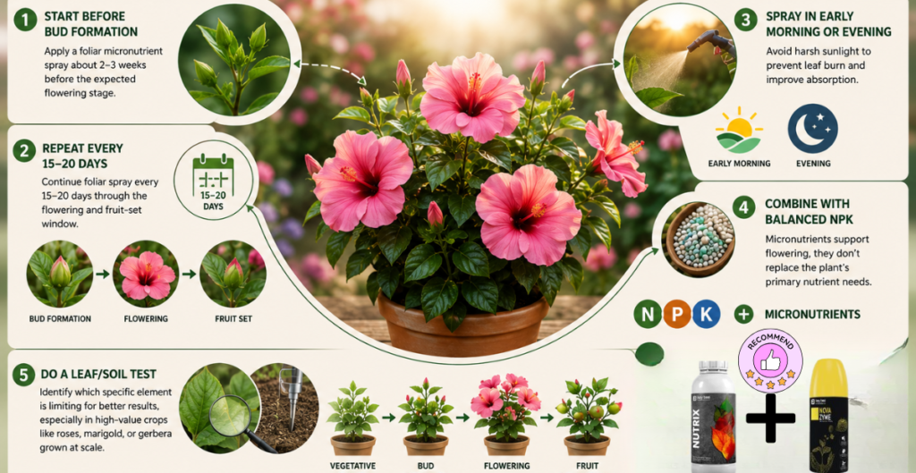 Micronutrient Fertilizer for Flowering Plants: The Real Secret Behind Bigger, Brighter Blooms 3 How to Use a Micronutrient Fertilizer for Flowering Plants