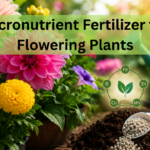 Micronutrient Fertilizer for Flowering Plants: The Real Secret Behind Bigger, Brighter Blooms