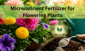 Micronutrient Fertilizer for Flowering Plants